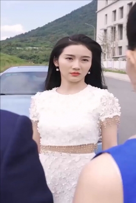 都市至尊豪婿 都市至尊豪婿