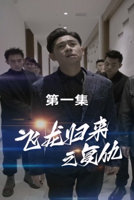 飞龙归来 飞龙归来