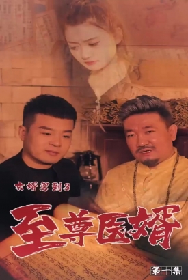 女婿驾到3 女婿驾到3