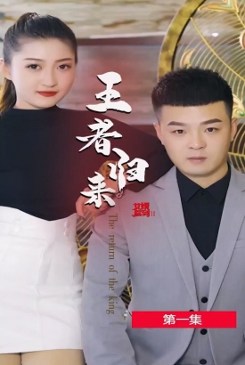 女婿驾到2王者归来 女婿驾到2王者归来