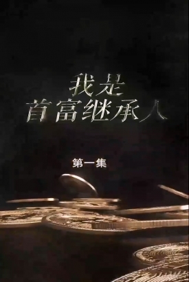 我是首富继承人 我是首富继承人
