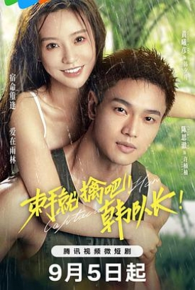 束手就擒吧!韩队长 束手就擒吧!韩队长