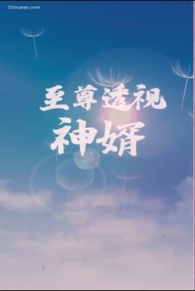 至尊透视神婿合集版 至尊透视神婿合集版
