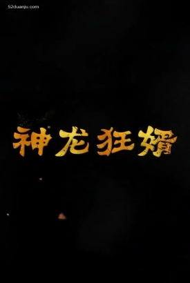 神龙狂婿合集版 神龙狂婿合集版