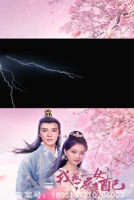 我成了恶毒女配合集版 我成了恶毒女配合集版