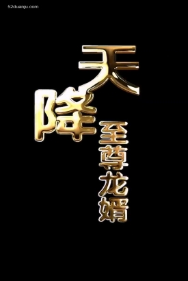 天降至尊龙婿合集版 天降至尊龙婿合集版