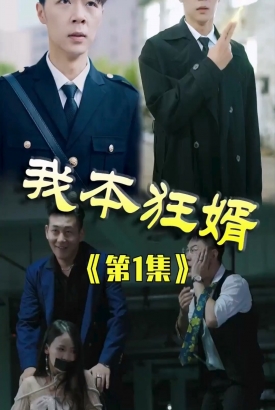 我本狂婿合集版 我本狂婿合集版