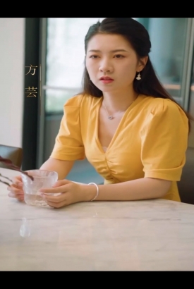 巅峰赘婿合集版 巅峰赘婿合集版