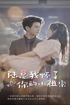 陆总,我怀了你的小祖宗 陆总,我怀了你的小祖宗