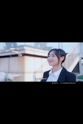喵,请恋爱 喵,请恋爱