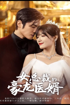 女总裁的豪龙医婿 女总裁的豪龙医婿