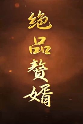 绝品赘婿 绝品赘婿