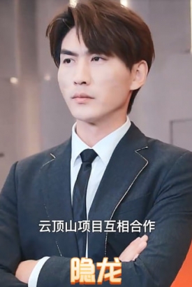 隐龙 隐龙