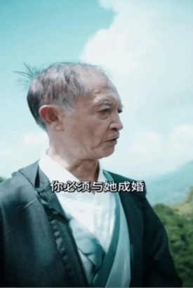 仙医金婿 仙医金婿