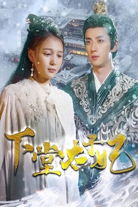 下堂太子妃 下堂太子妃