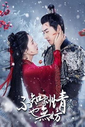 不知剧情也无妨 不知剧情也无妨