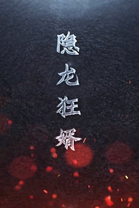 隐龙狂婿 隐龙狂婿