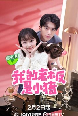 我的老板是小猪 我的老板是小猪