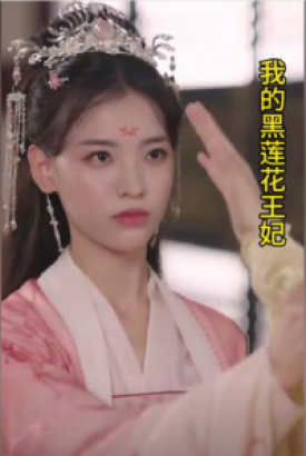 我的黑莲花王妃 我的黑莲花王妃