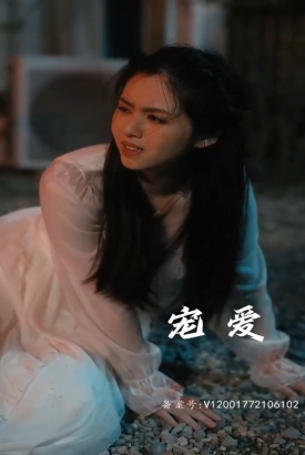 宠爱 短剧版 宠爱 短剧版