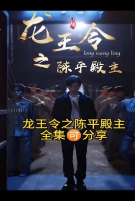 龙王令之陈平殿主 龙王令之陈平殿主