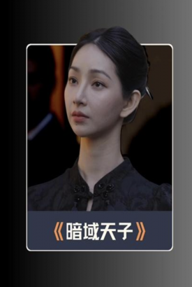 暗域天子 暗域天子