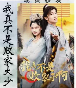 我真不是败家大少 我真不是败家大少