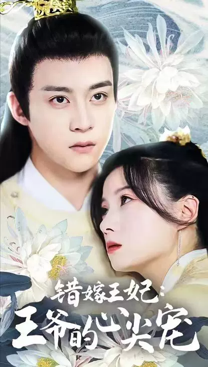 错嫁王妃王爷的心尖宠 错嫁王妃王爷的心尖宠