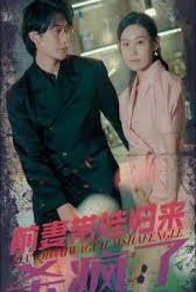 前妻带娃归来杀疯了 前妻带娃归来杀疯了