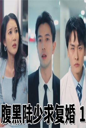 腹黑陆少求复婚【1-77合集】 腹黑陆少求复婚【1-77合集】