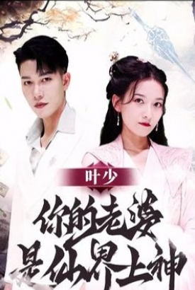 叶少你的老婆是仙界上神 叶少你的老婆是仙界上神