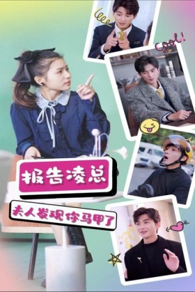 报告凌总,夫人发现你马甲了 报告凌总,夫人发现你马甲了