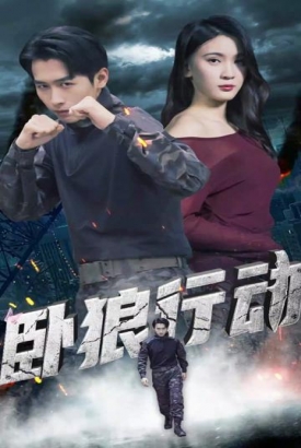 卧狼行动 卧狼行动