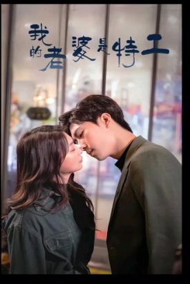 我的老婆是特工 我的老婆是特工