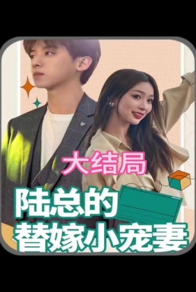 陆总的替嫁小娇妻 陆总的替嫁小娇妻