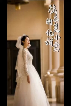 陆总的复仇小甜妻 陆总的复仇小甜妻