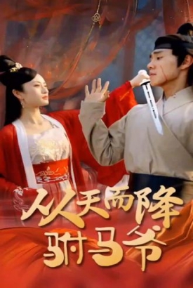 从天而降驸马爷 从天而降驸马爷