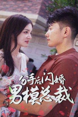 分手后闪婚男模总裁 分手后闪婚男模总裁