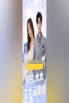 顾总,太太又在闹离婚 顾总,太太又在闹离婚