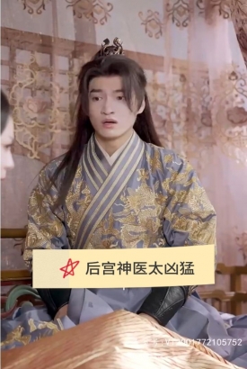 后宫神医太凶猛 后宫神医太凶猛