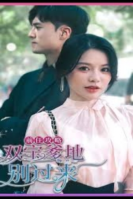 前任攻略,双宝爹地别过来 前任攻略,双宝爹地别过来
