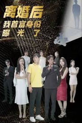 离婚后我的首富身份曝光了 离婚后我的首富身份曝光了