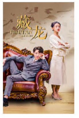 藏龙 短剧版 藏龙 短剧版