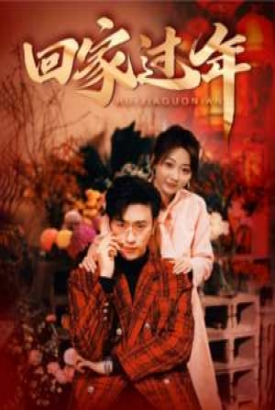 回家过年 回家过年