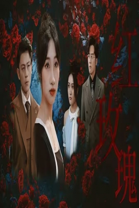 红玫瑰短剧版 红玫瑰短剧版