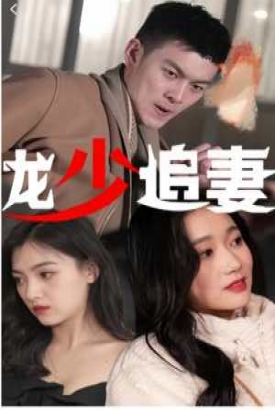 龙少追妻 龙少追妻