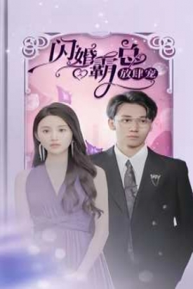 闪婚霸总放肆宠 闪婚霸总放肆宠