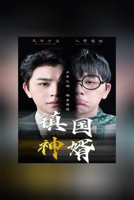 镇国神婿新版 镇国神婿新版