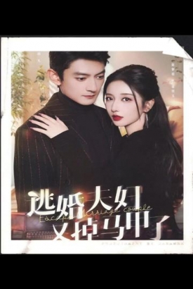 逃婚夫妇又掉马甲了 逃婚夫妇又掉马甲了