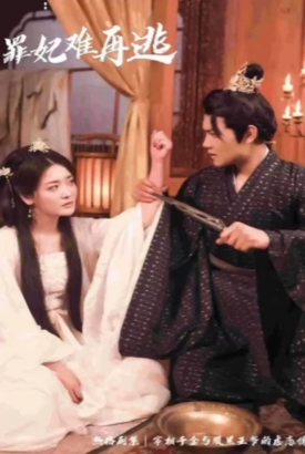 只愿从来不识君&罪妃难再逃 只愿从来不识君&罪妃难再逃